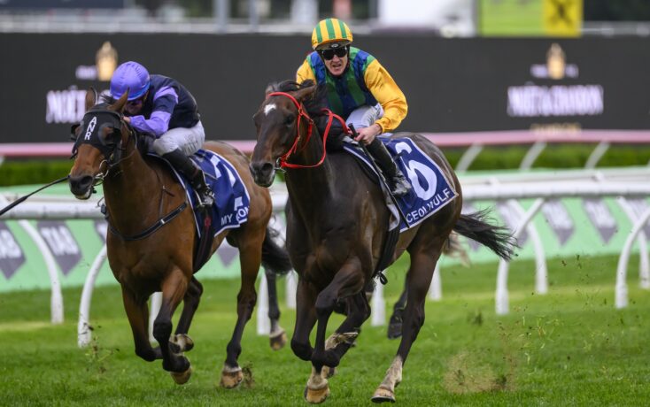 不仅会加重 不仅会加重