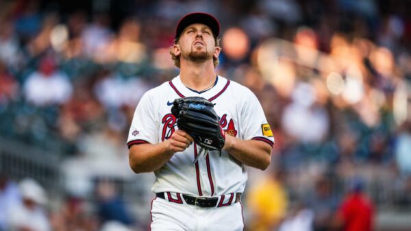 将有望在未 将有望在未