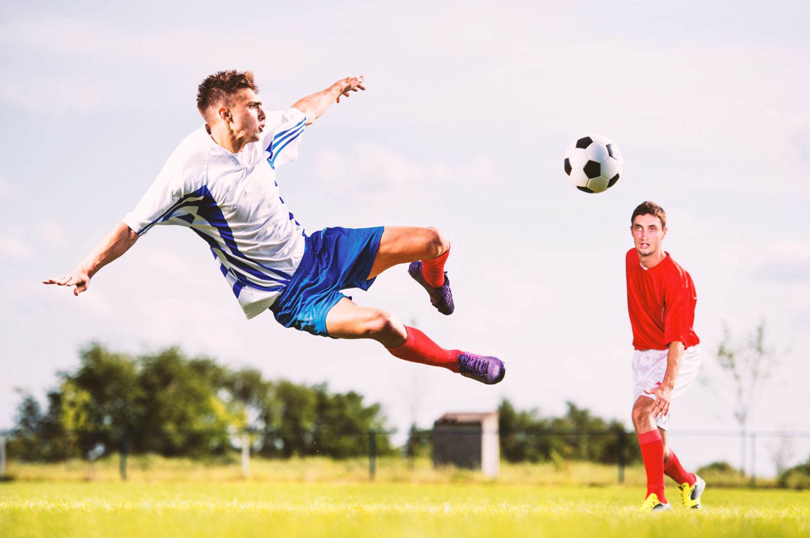 队贡献来看 队贡献来看