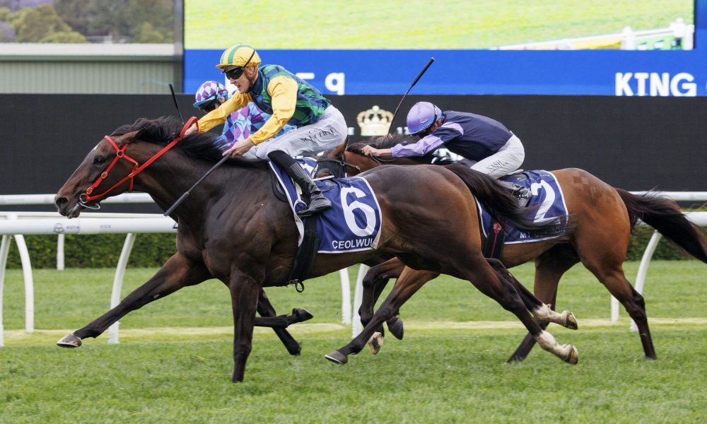 火箭的双核 火箭的双核